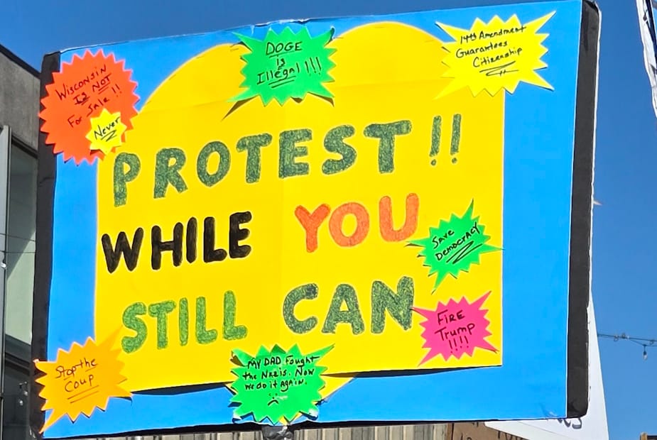 Democracy, freedom from tyranny at top of protesters' list of concerns at No Kings Rally