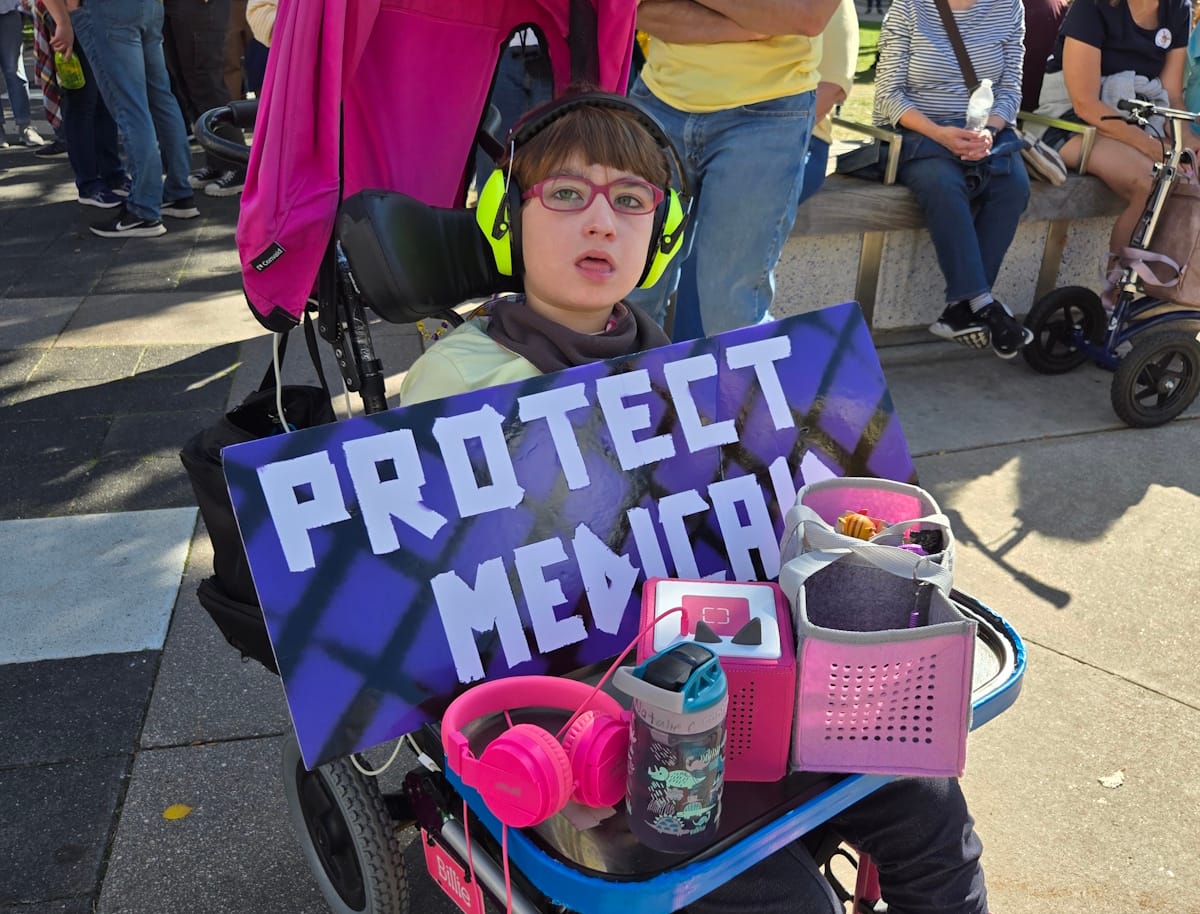 Democracy, freedom from tyranny at top of protesters' list of concerns at No Kings Rally