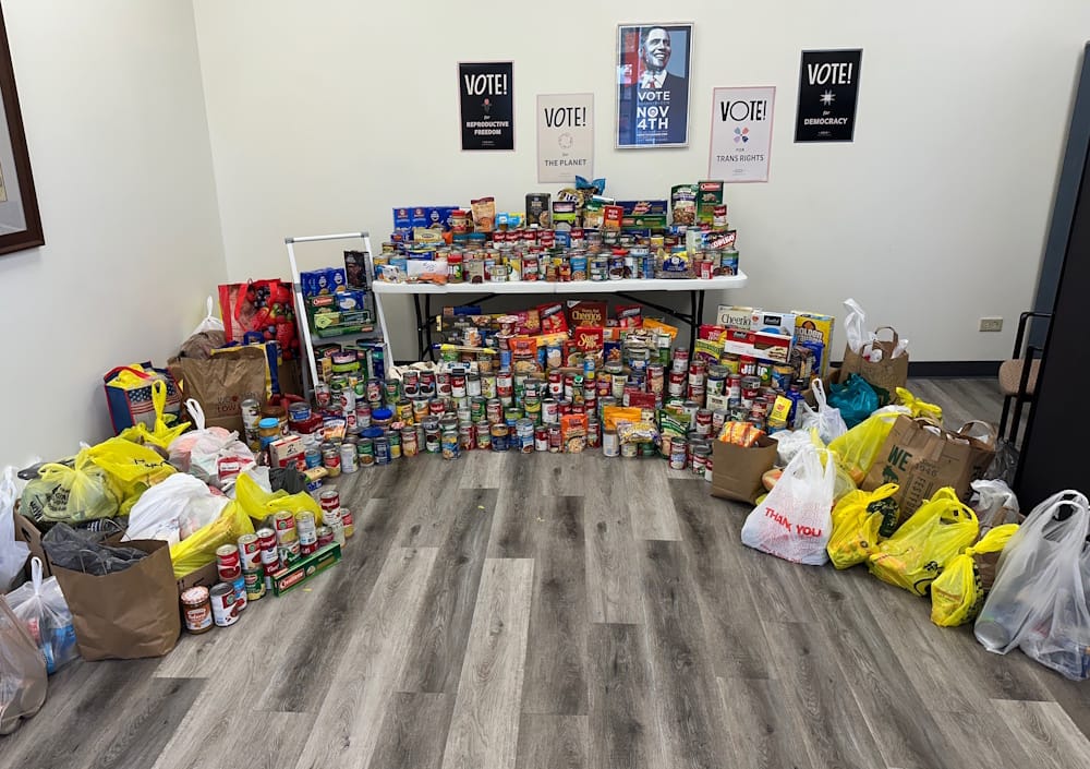 Democracy, freedom from tyranny at top of protesters' list of concerns at No Kings Rally