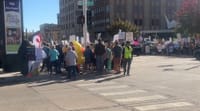 Despite heightened political tensions, volunteers report no incidents at No Kings Rally post image