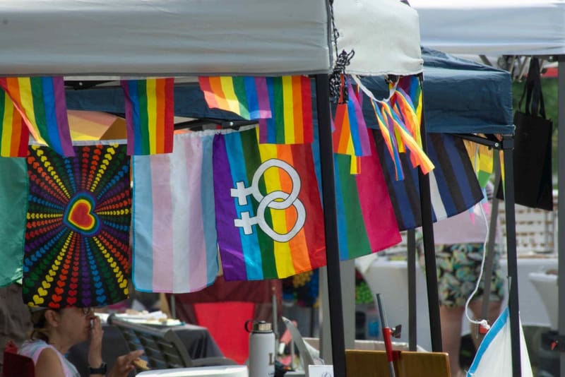 Fox Valley Pride festival creates a space, highlights a culture post image